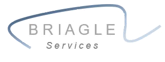 Briagle Logo